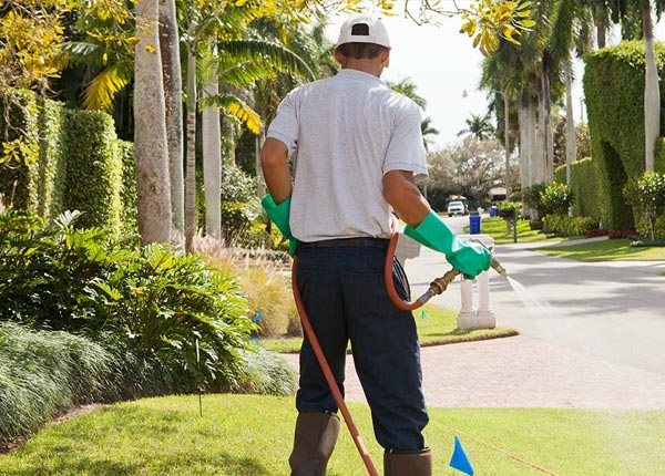 About Little Lake CA Pest Control